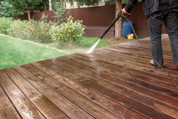 Best Solar Panel Cleaning  in Cohoes, NY