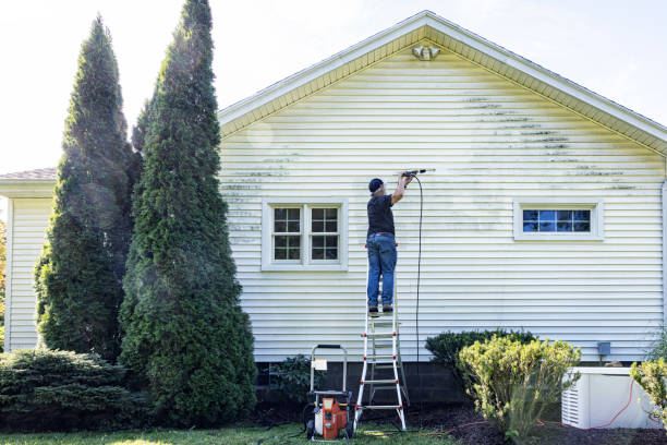 Best Roof Washing  in Cohoes, NY